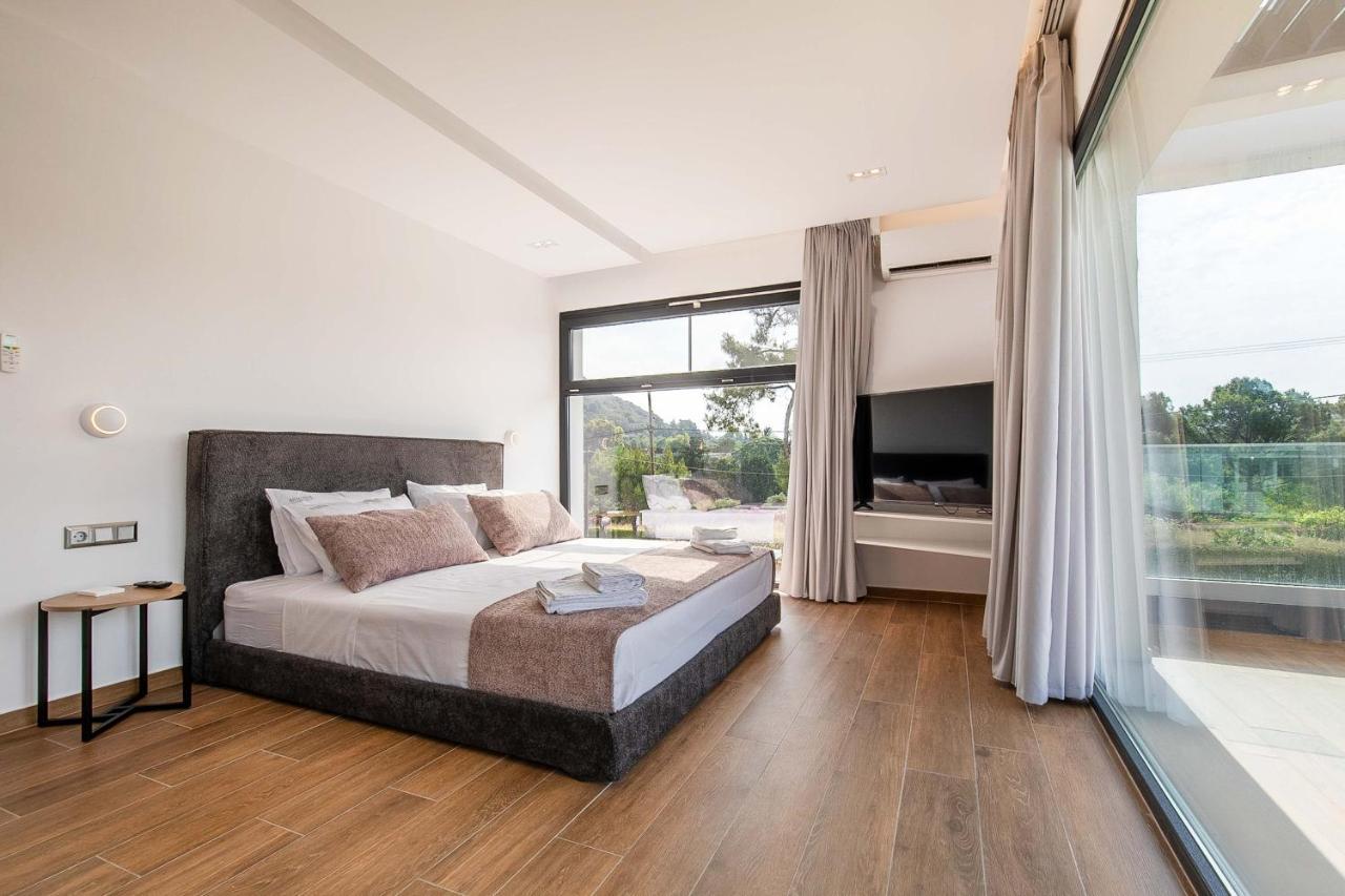 Armonia Luxury Villa Jalisos Zewnętrze zdjęcie